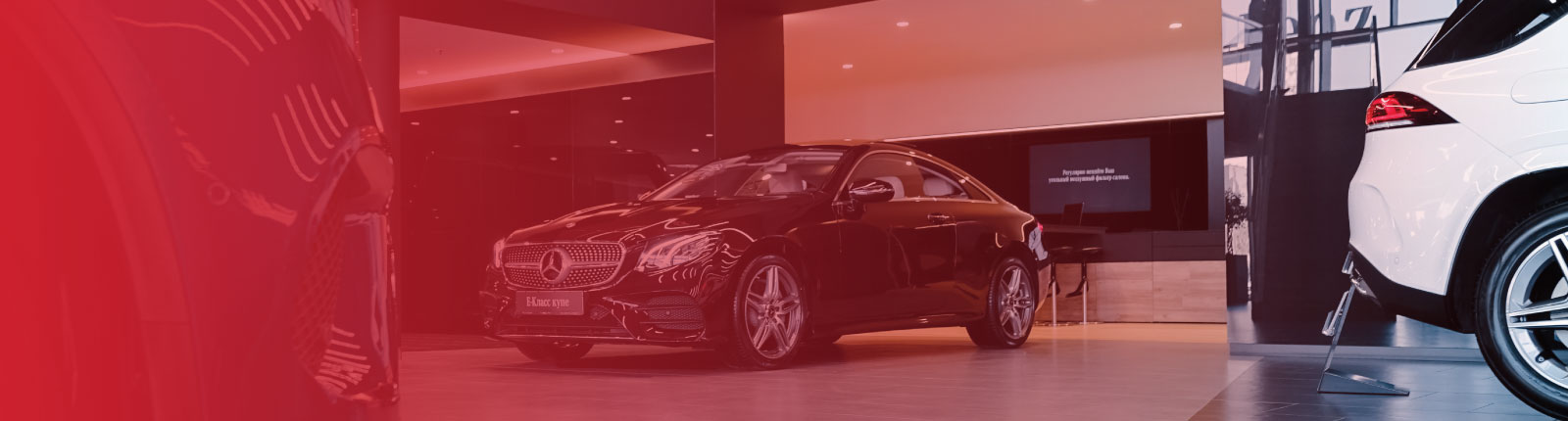 cars in a dealership showroom