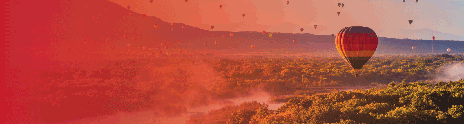 Hot air balloons flying over albuquerque