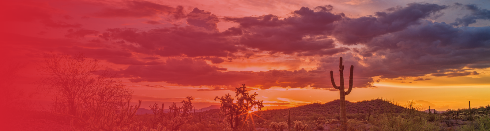 Phoeniz Arizona sunset