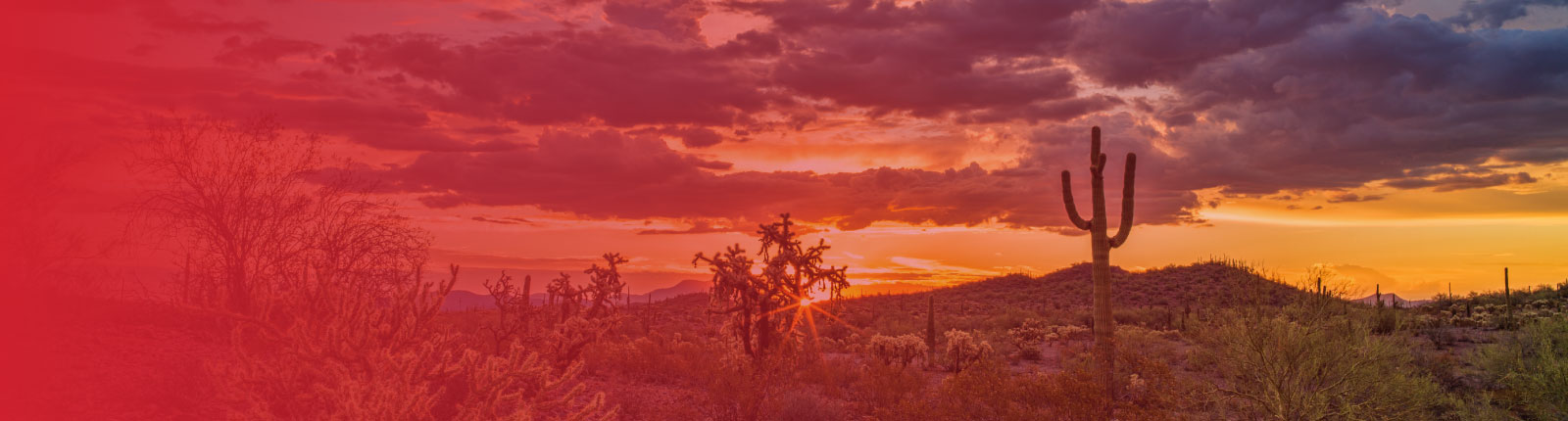 Phoenix Arizona Header