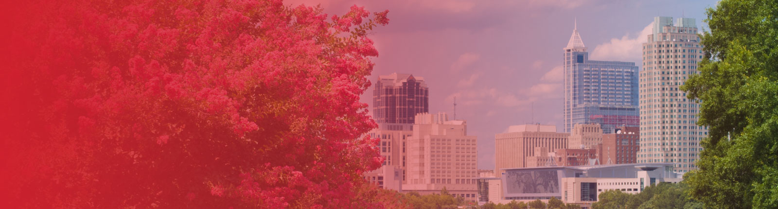 Raleigh skyline