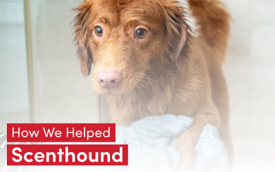 How we helped scenthound