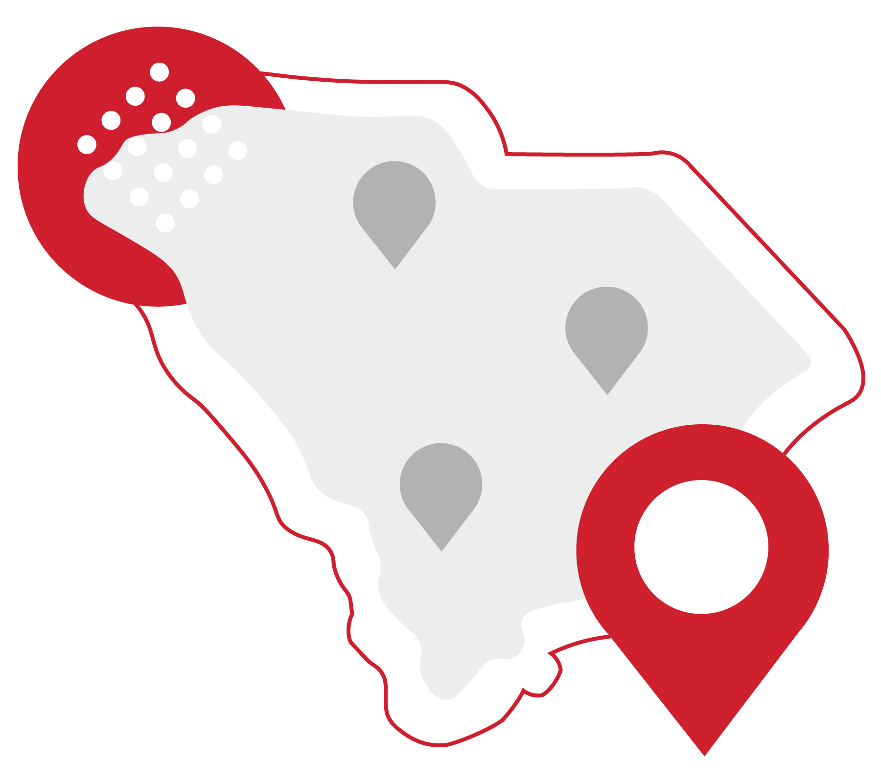 South Carolina State outline